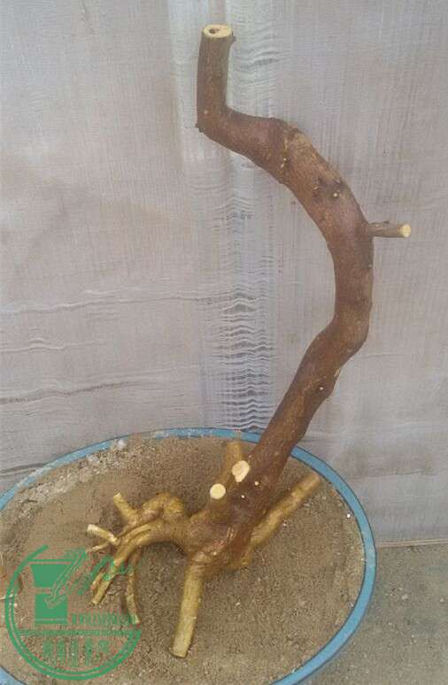 2_.jpg