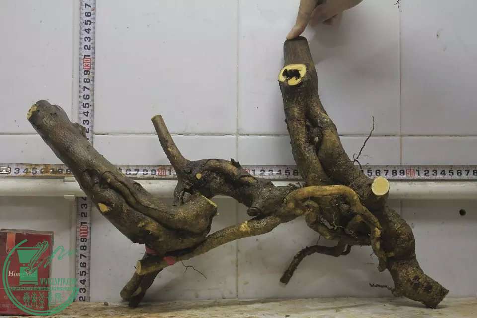 psb (2).jpg