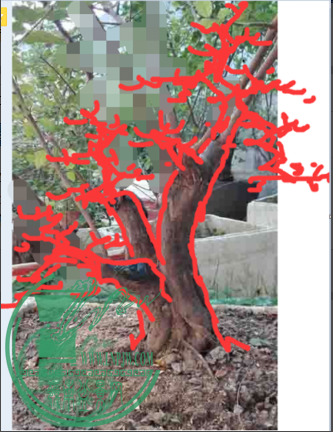 QQͼƬ20151127131553.png