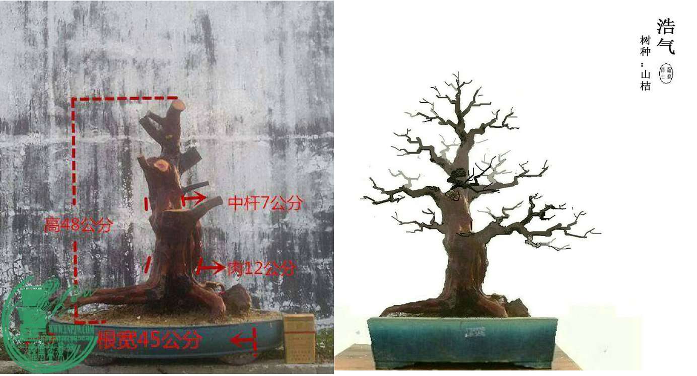 ½ͼƬ1_4.jpg