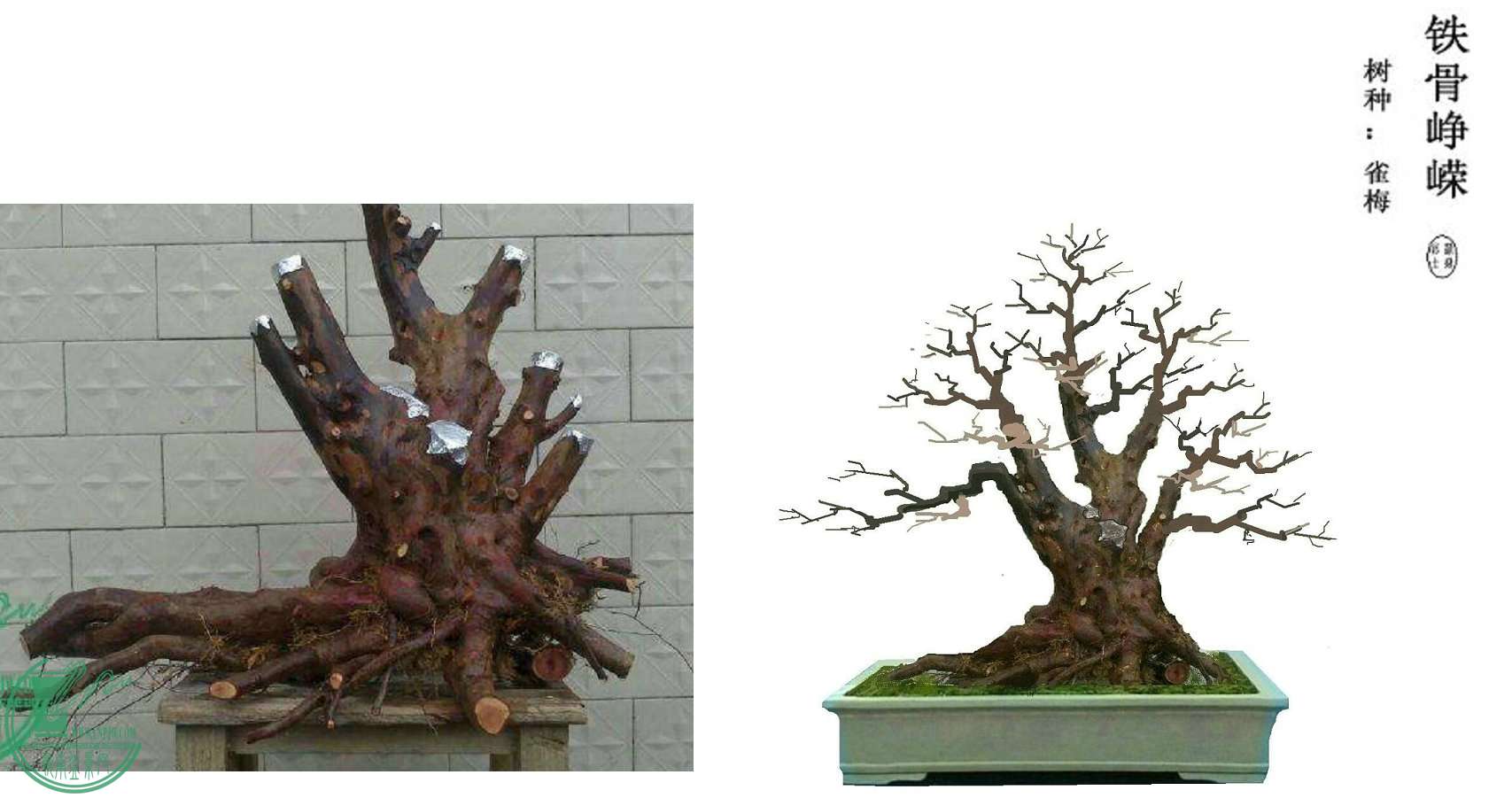 ½ͼƬ2.jpg