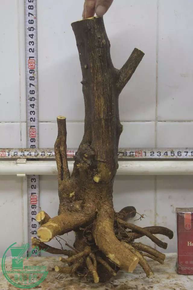 psb (12).jpg