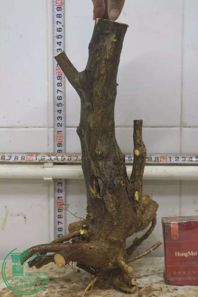 psb (13).jpg