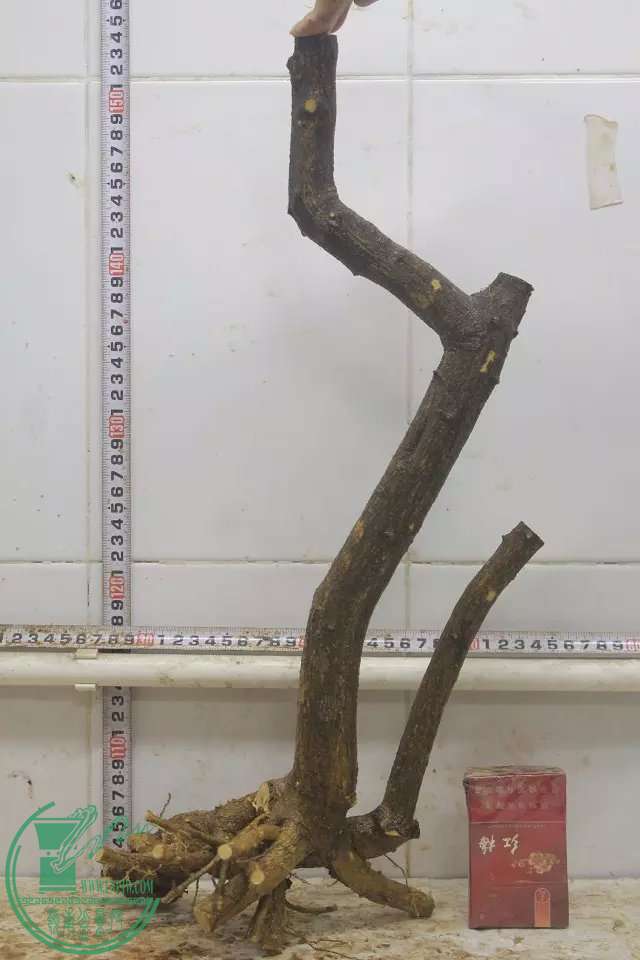 psb (10).jpg
