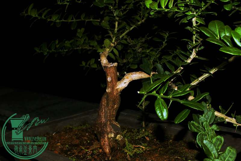 DSCF2468.JPG