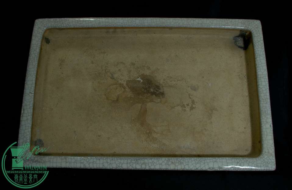 IMGP8257.jpg