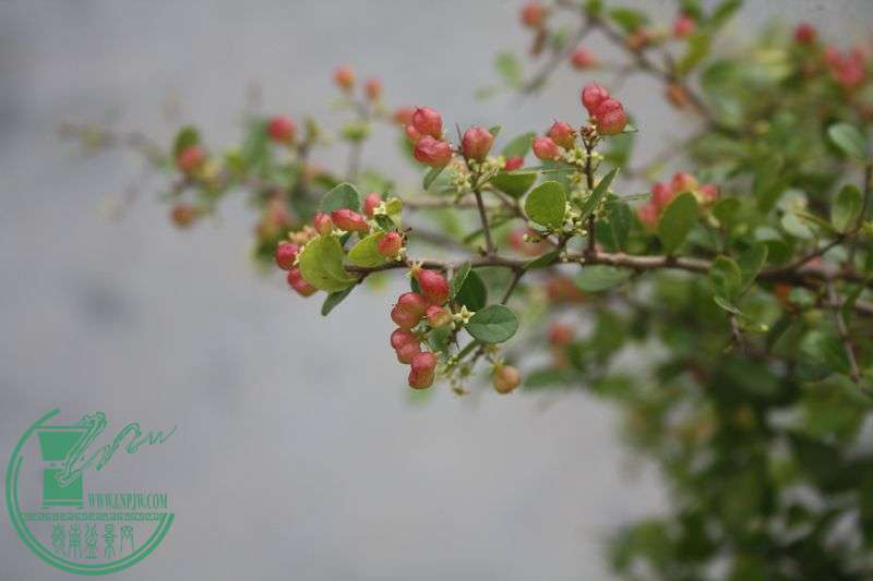 Ƭ20131026ۺ 4039.jpg
