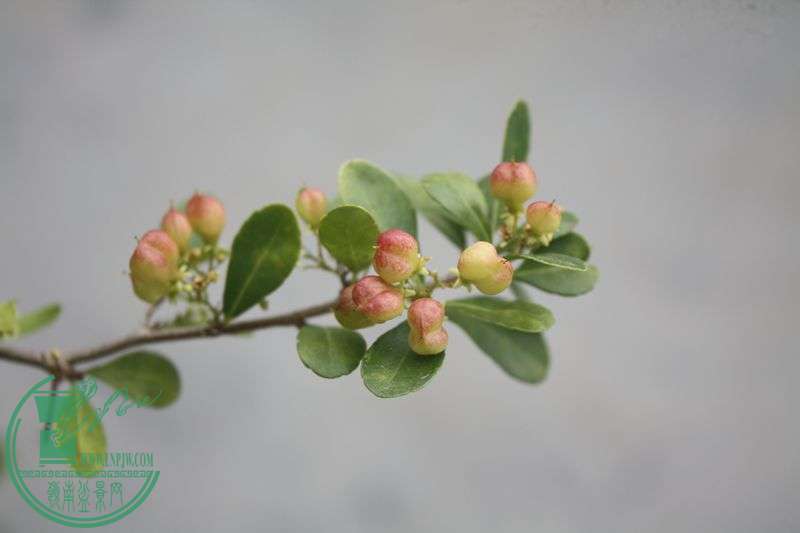 Ƭ20131026ۺ 4042.jpg