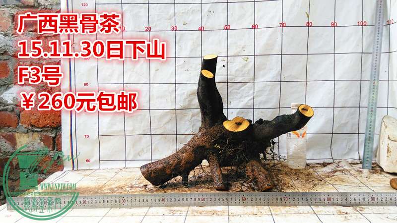 IMG_20151130_155031_.jpg
