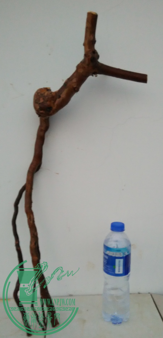 QQͼ20151130184047.png