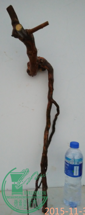 QQͼ20151130184144.png