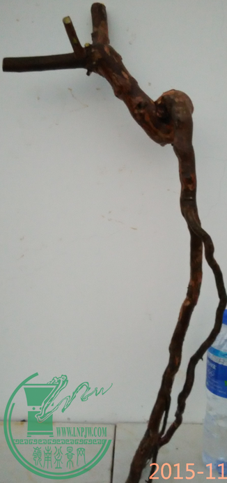 QQͼ20151130184320.png