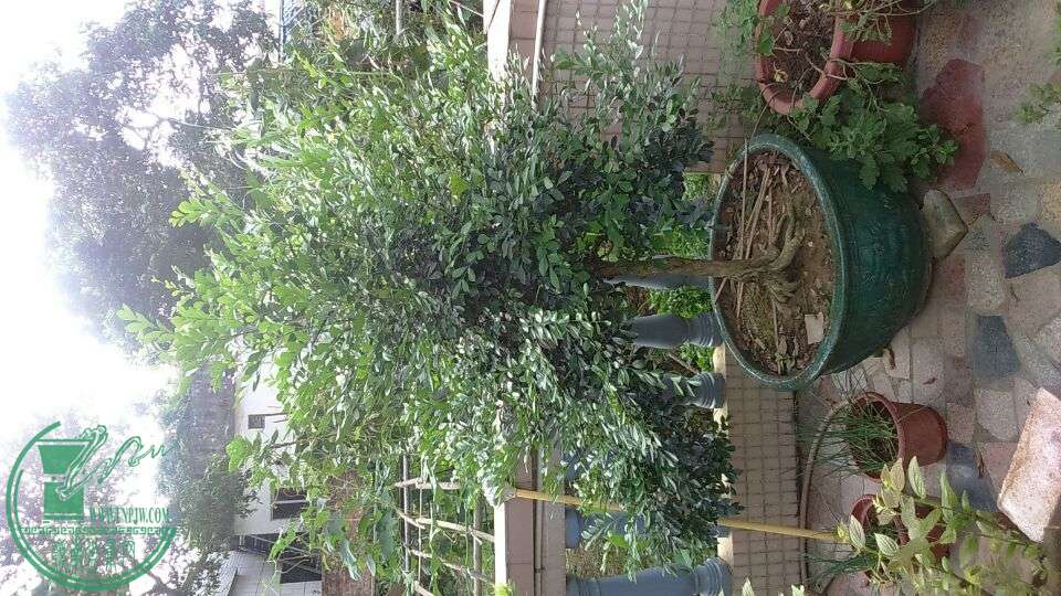 QQͼƬ20150611091034.jpg