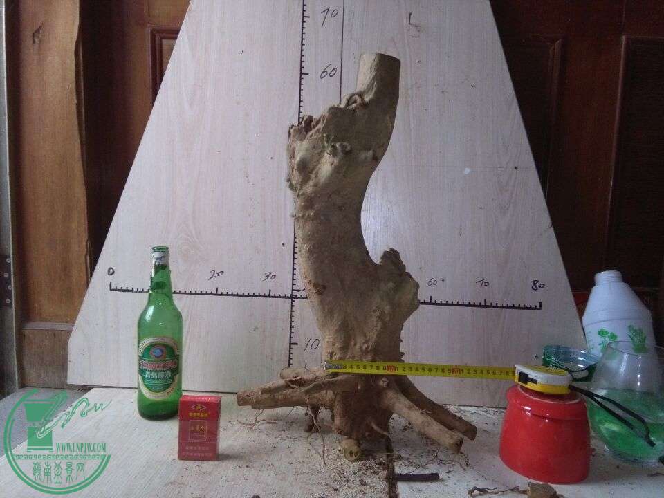 QQͼƬ20151201160224.jpg
