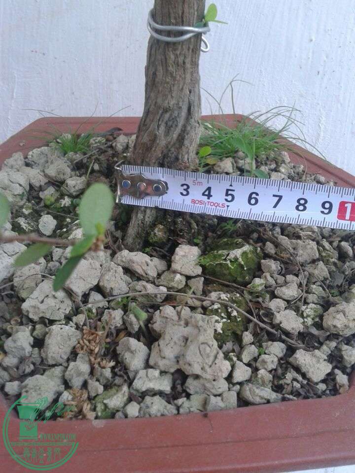 QQͼƬ20151201154236.jpg