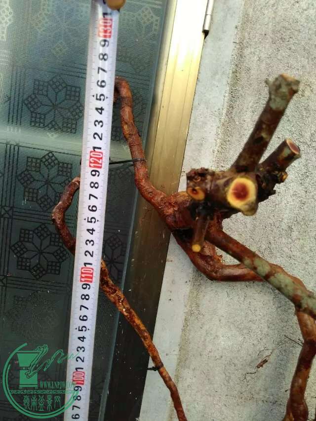 1.5.jpg