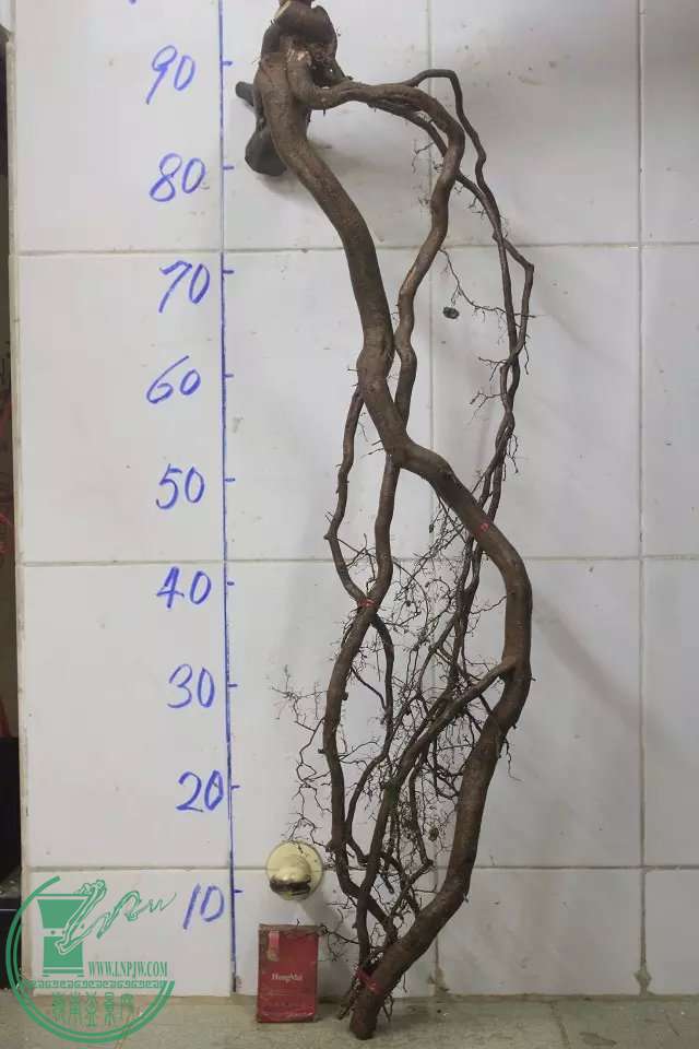 psb (13).jpg
