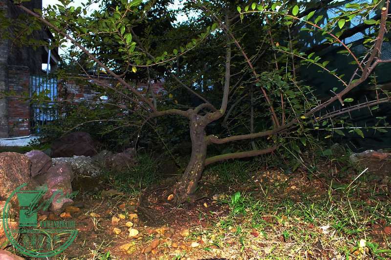 DSCF2494.JPG