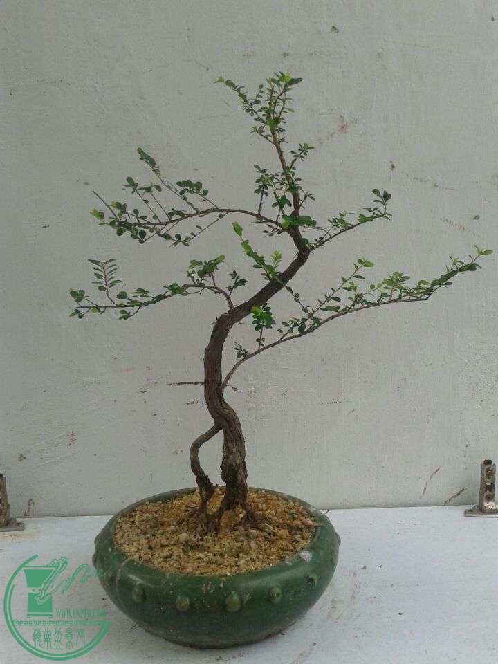 QQͼƬ20151204161347.jpg