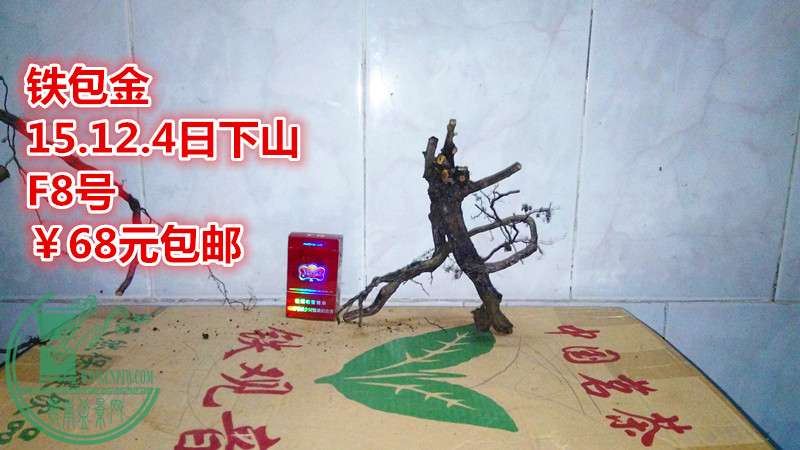 IMG_20151204_170946_.jpg