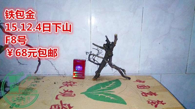 IMG_20151204_171002_.jpg