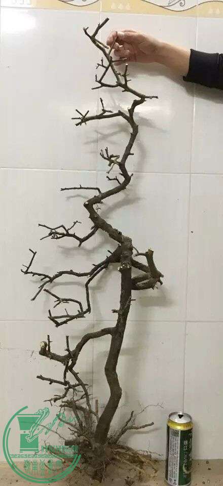 QQͼƬ20151205000550.jpg