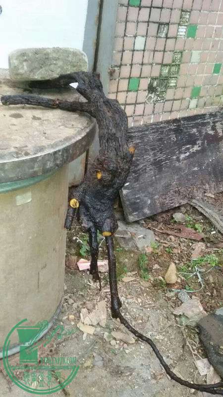 710239