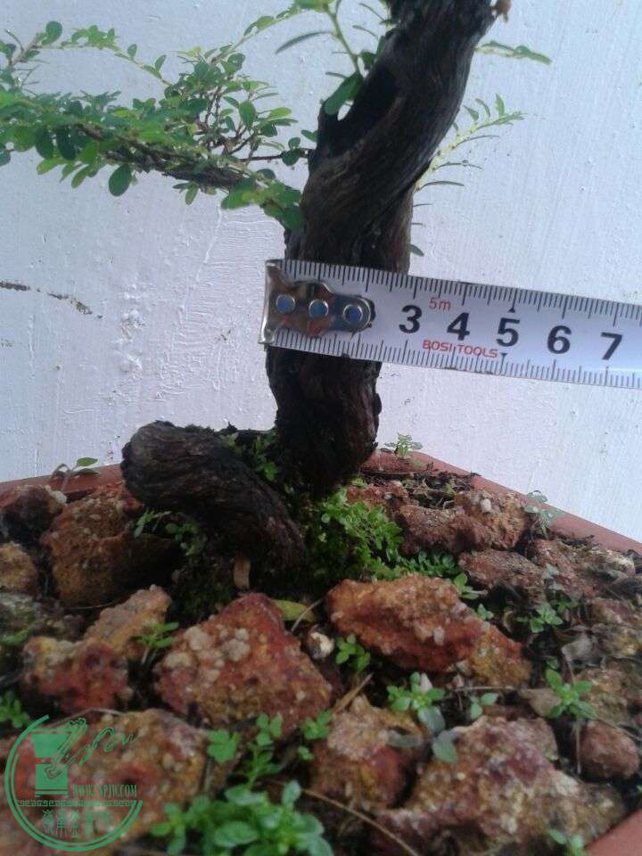 QQͼƬ20151205152345.jpg