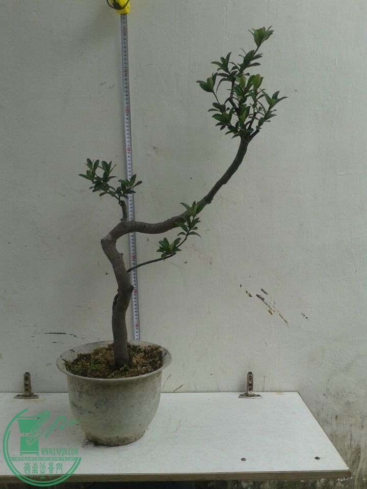 QQͼƬ20151206130955.jpg
