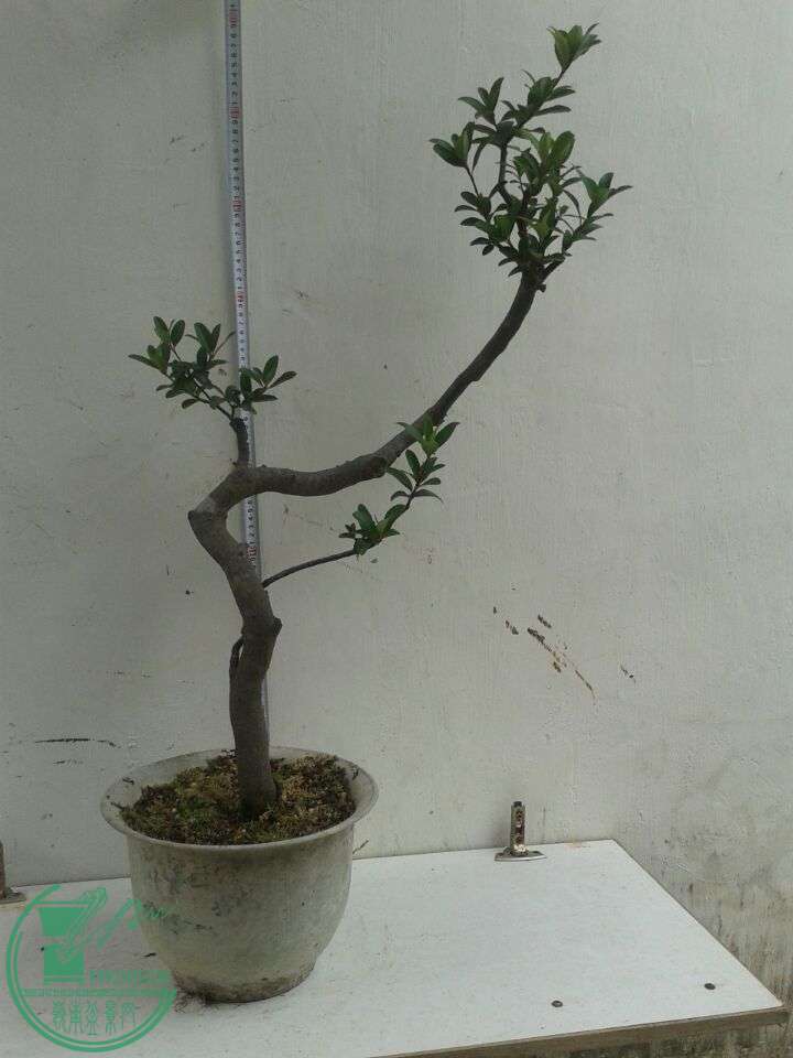 QQͼƬ20151206131001.jpg