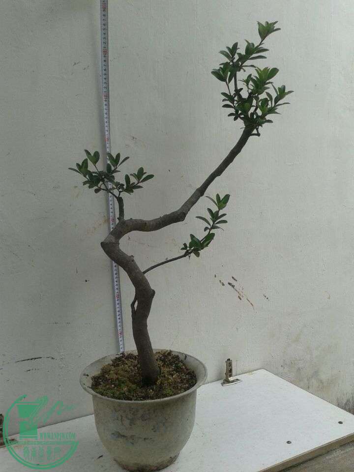 QQͼƬ20151206131010.jpg