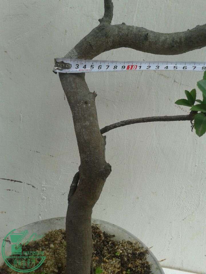 QQͼƬ20151206131015.jpg