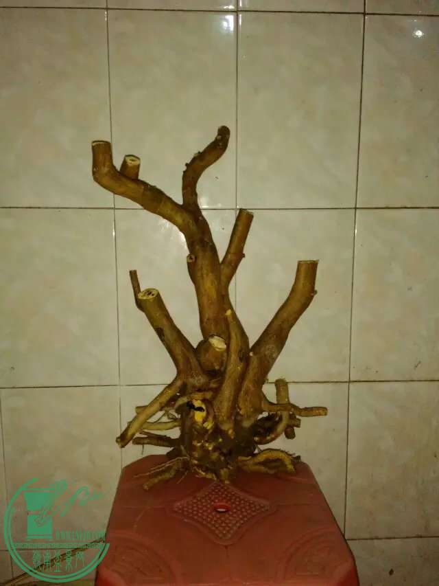 psb (97).jpg
