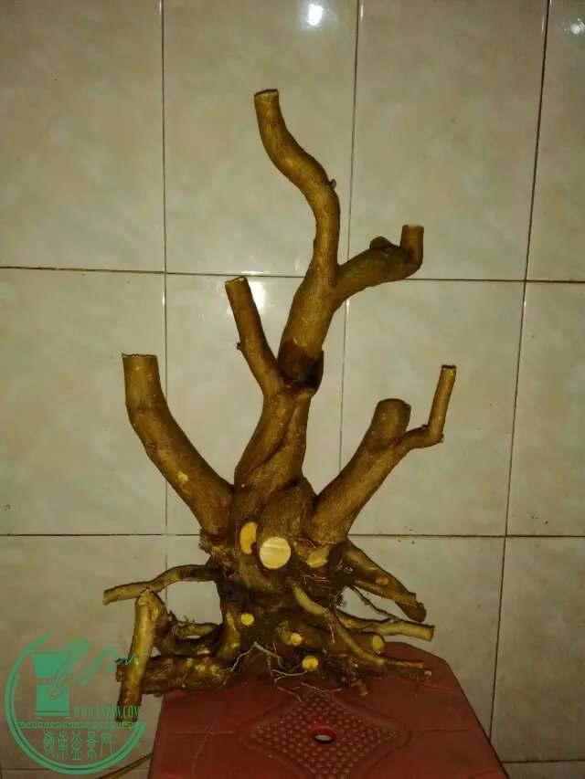 psb (95).jpg