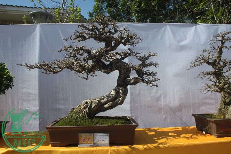 Ƭ20131026ۺ 021.jpg