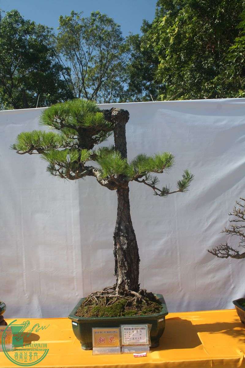 Ƭ20131026ۺ 029.jpg