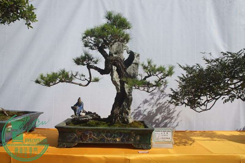 Ƭ20131026ۺ 238.jpg