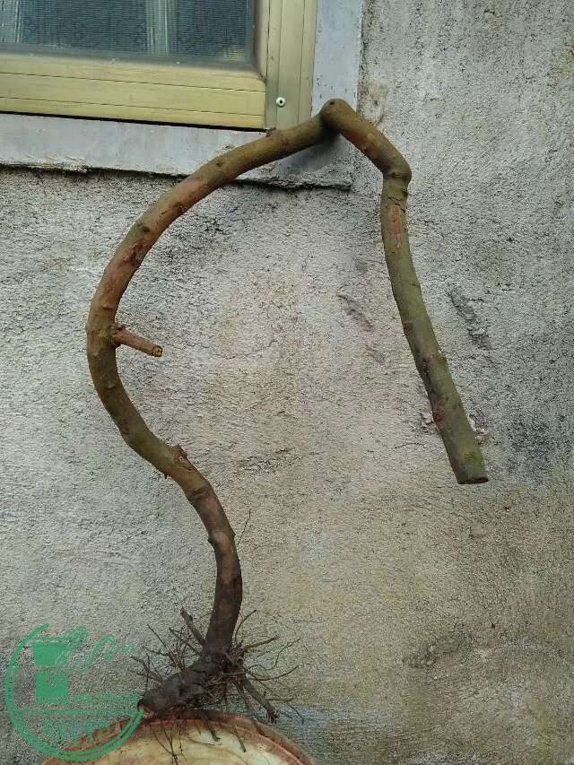 760