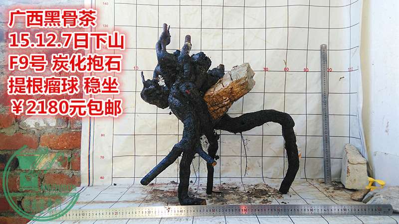 IMG_20151207_162804_.jpg
