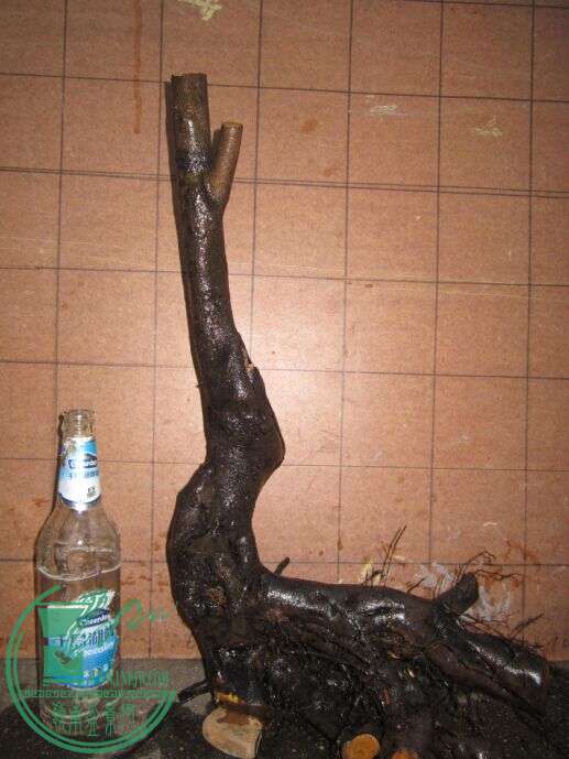 ĸѼA.jpg