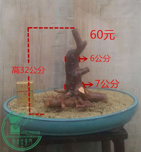 4_1.jpg