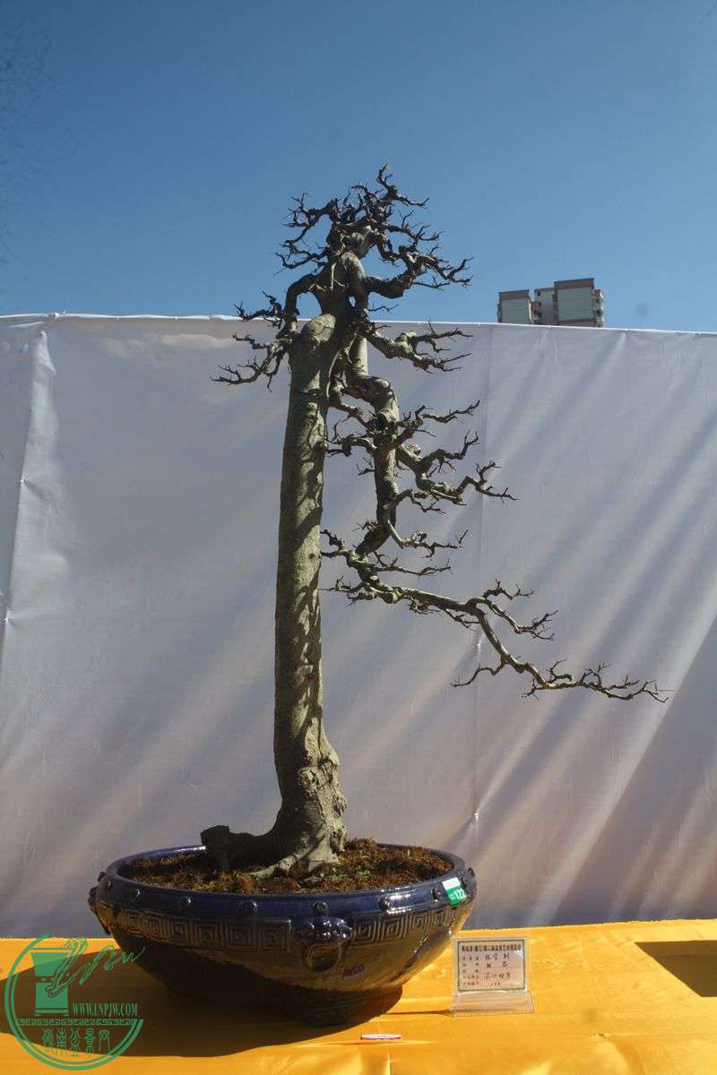 Ƭ20131026ۺ 136.jpg