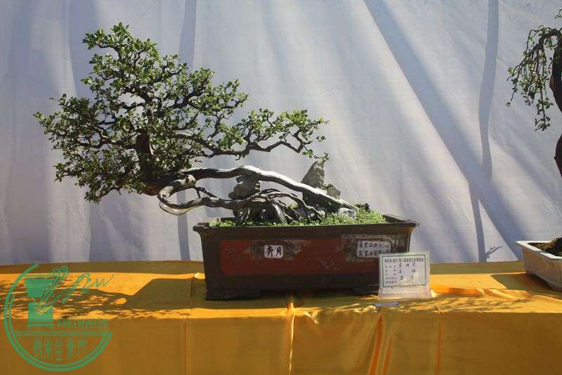Ƭ20131026ۺ 182.jpg