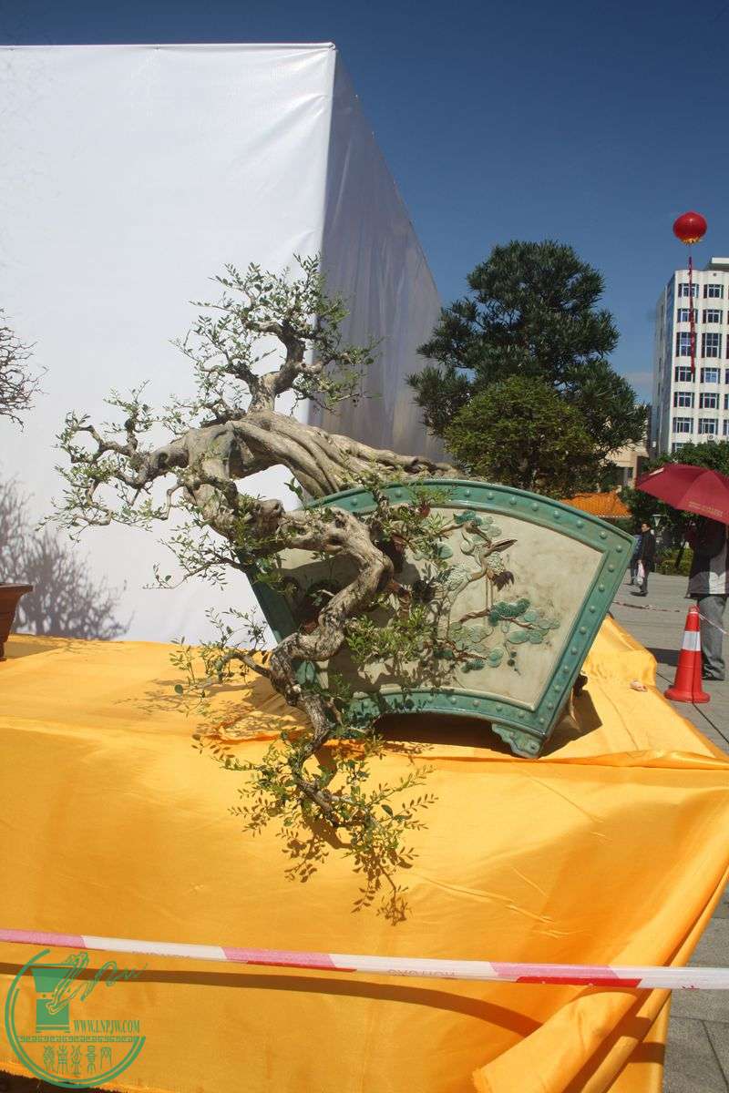 Ƭ20131026ۺ 097.jpg