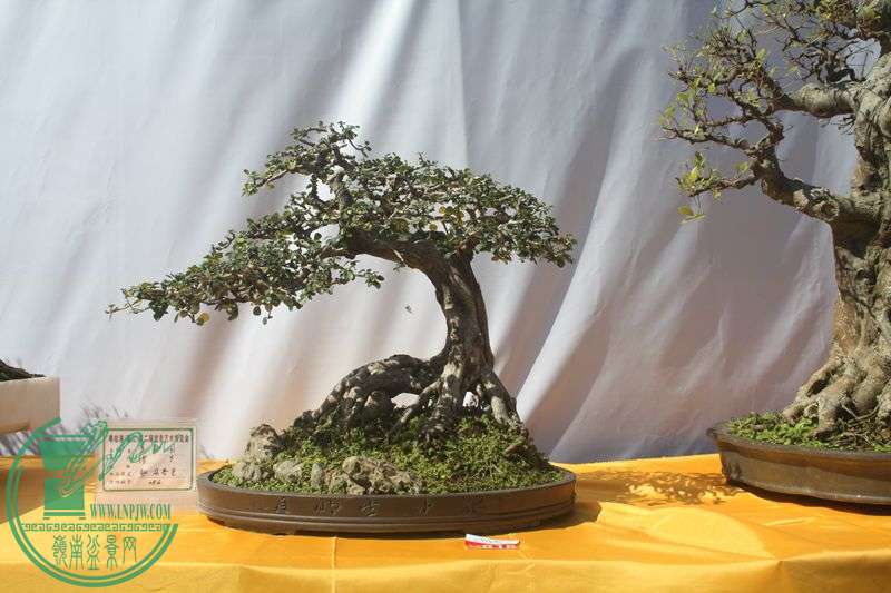Ƭ20131026ۺ 043.jpg