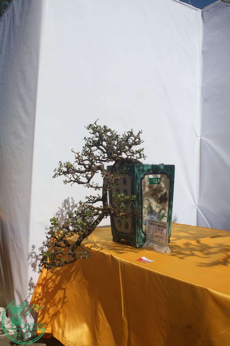 Ƭ20131026ۺ 149.jpg