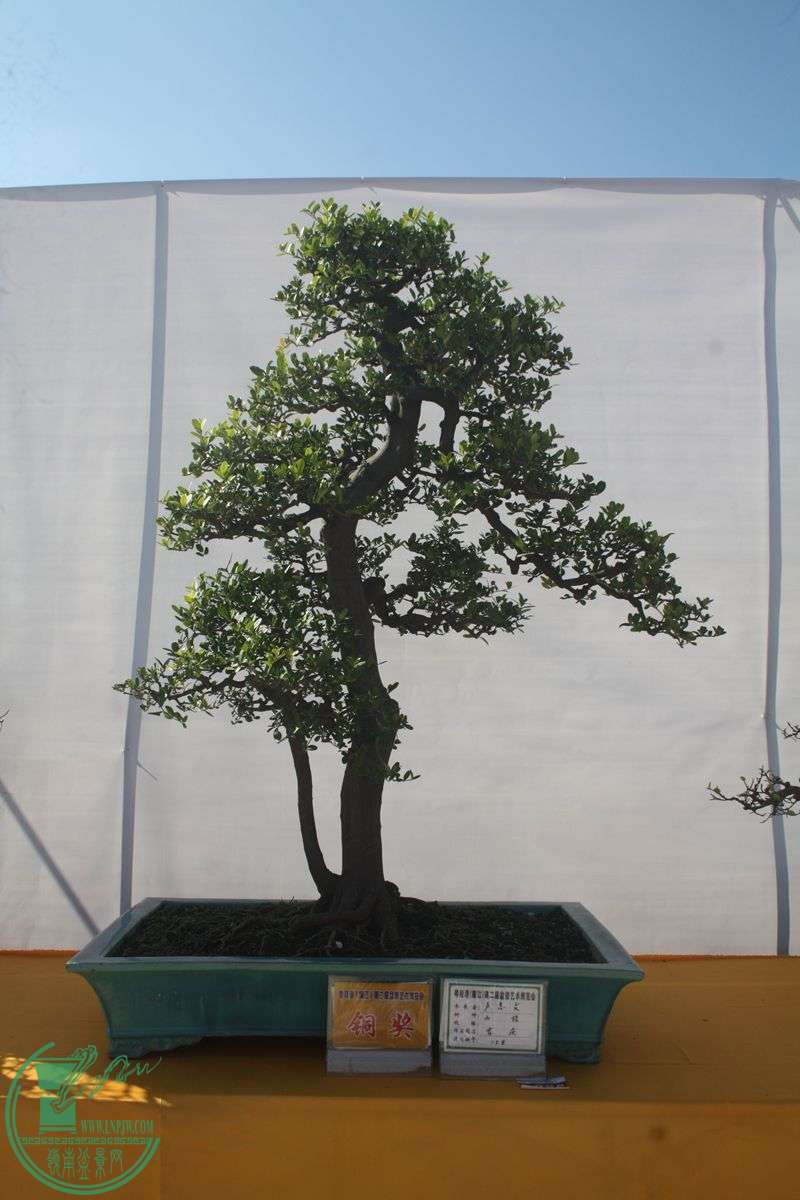 Ƭ20131026ۺ 289.jpg