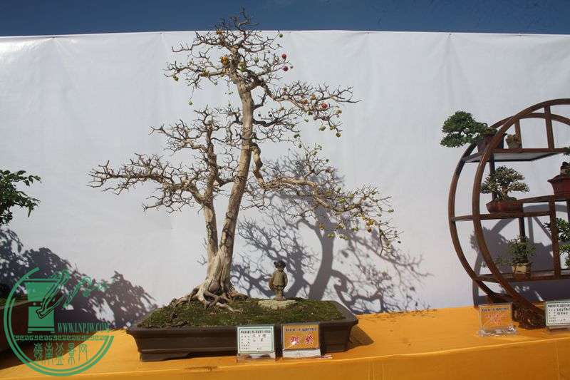 Ƭ20131026ۺ 317.jpg