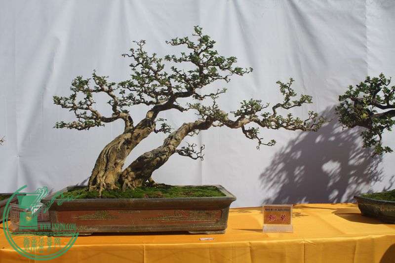 Ƭ20131026ۺ 254.jpg