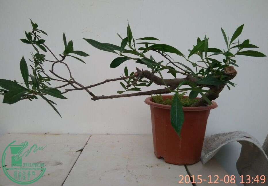 QQͼƬ20151208214845.jpg